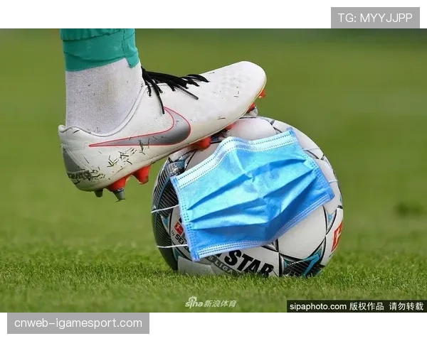 德甲联盟公布上季度财报:媒体版权收入同比增长8.5%